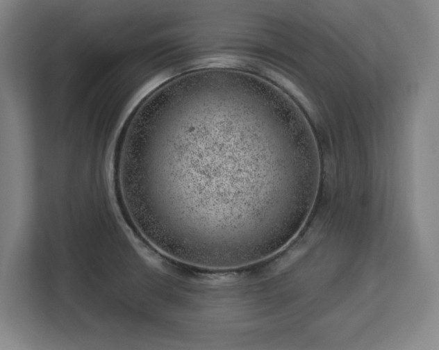 X0000112921426200908311248