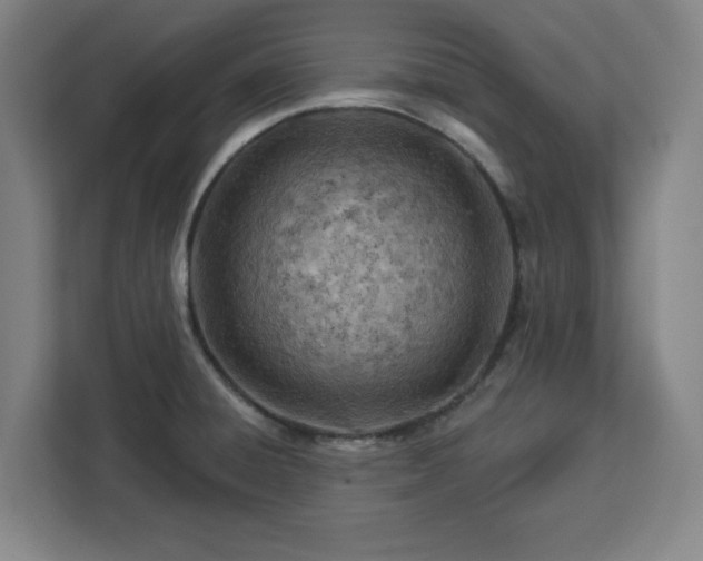 X0000112921428200908311248