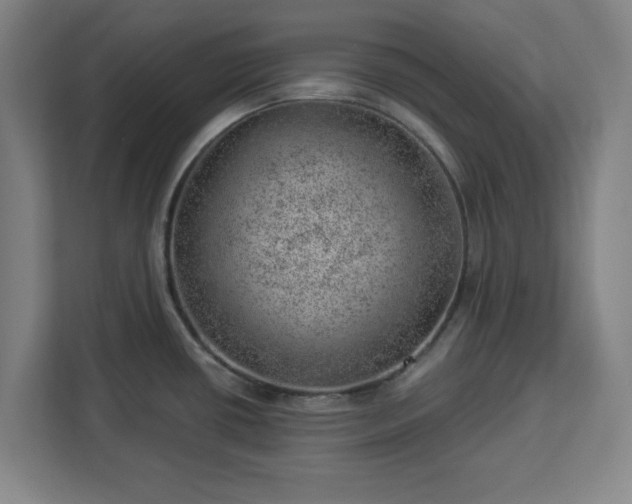 X0000112921434200908311248