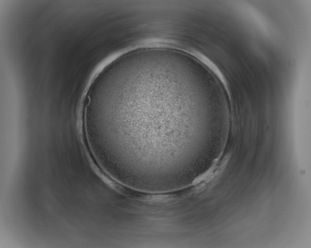 X0000112921437200908311248