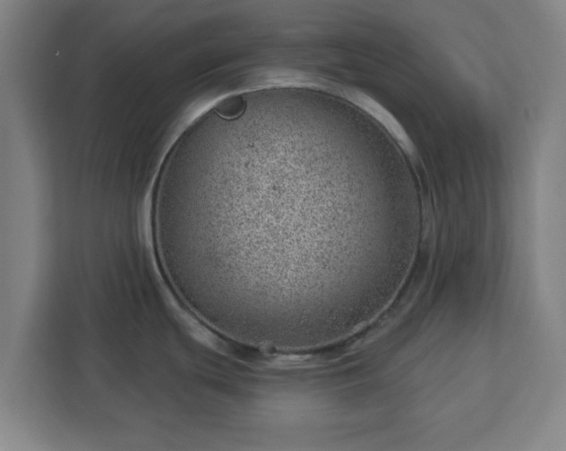 X0000112921439200908311248