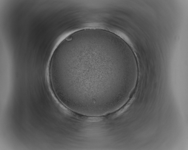 X0000112921440200908311248