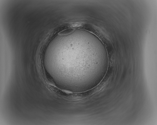X0000112921441200908311248