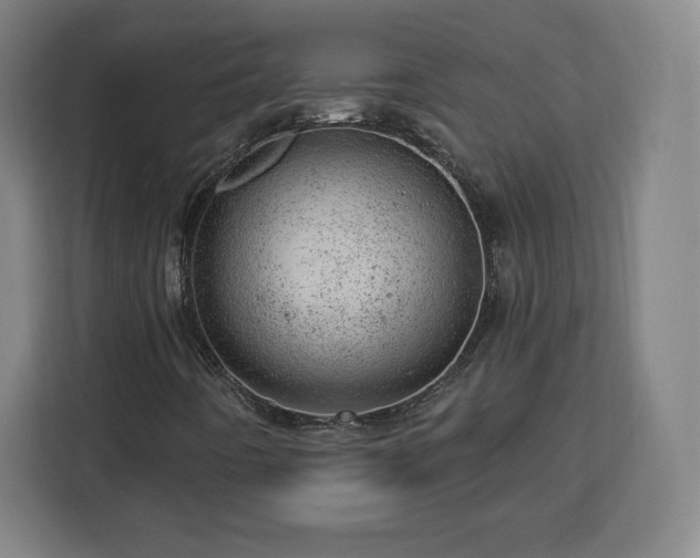 X0000112921442200908311248