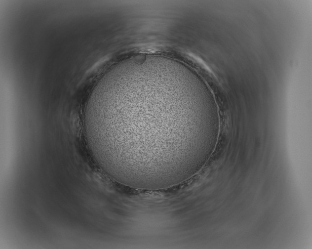 X0000112921446200908311248