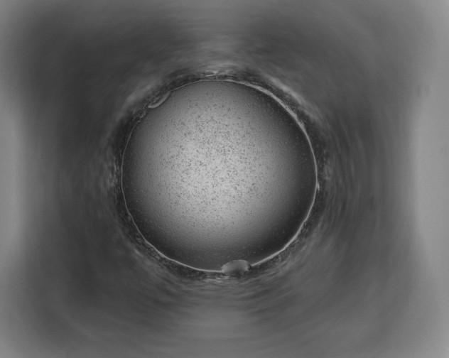 X0000112921447200908311248