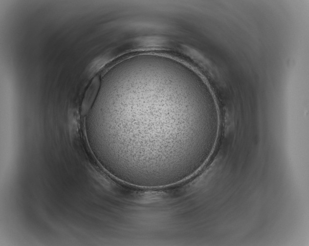 X0000112921449200908311247