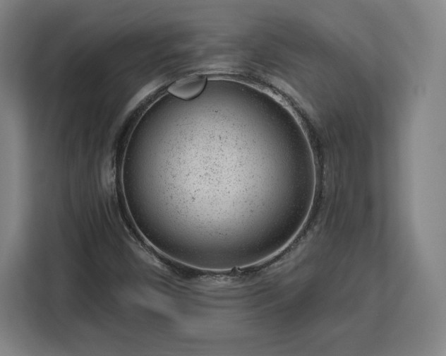 X0000112921450200908311247
