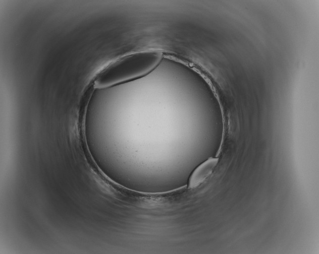 X0000112921452200908311247