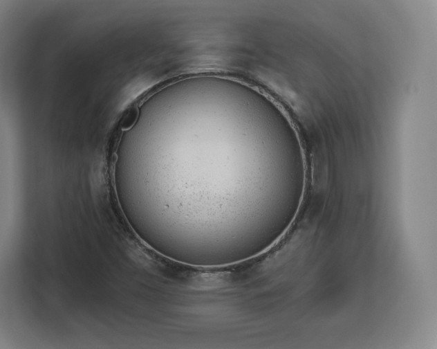 X0000112921453200908311247
