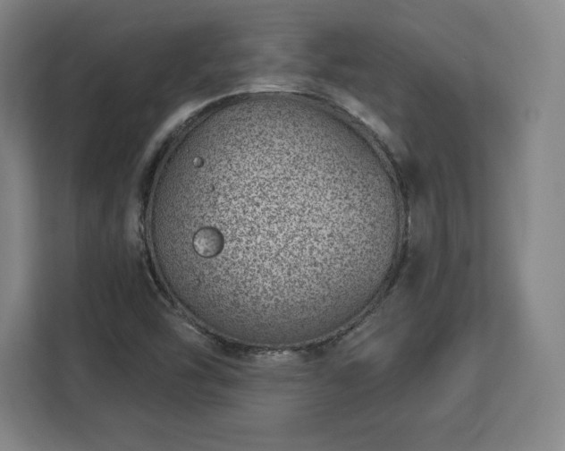 X0000112921454200908311247
