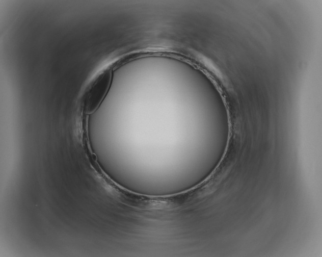 X0000112921456200908311247