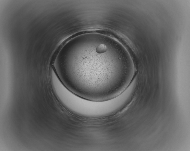 X0000112921457200908311247