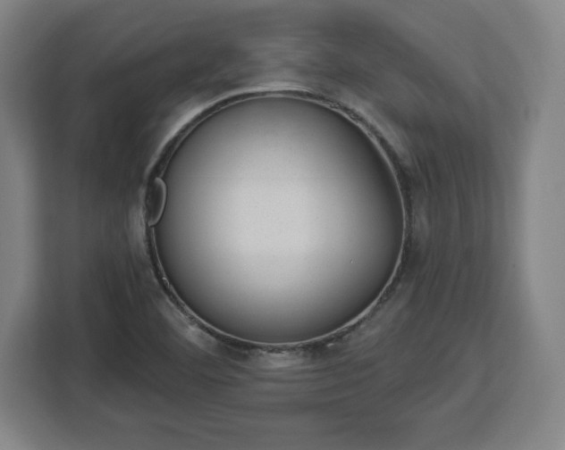 X0000112921460200908311247