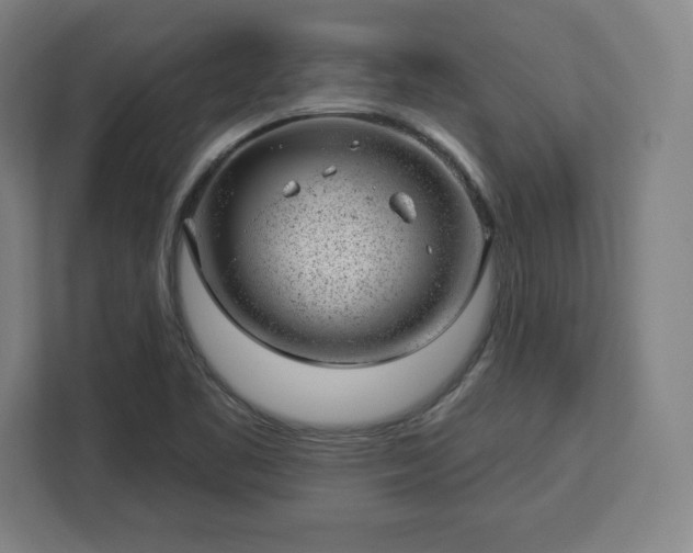 X0000112921461200908311247