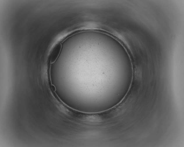 X0000112921464200908311247