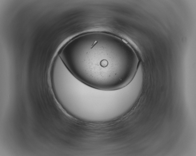 X0000112921468200908311247
