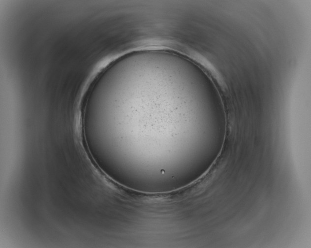 X0000112921472200908311247