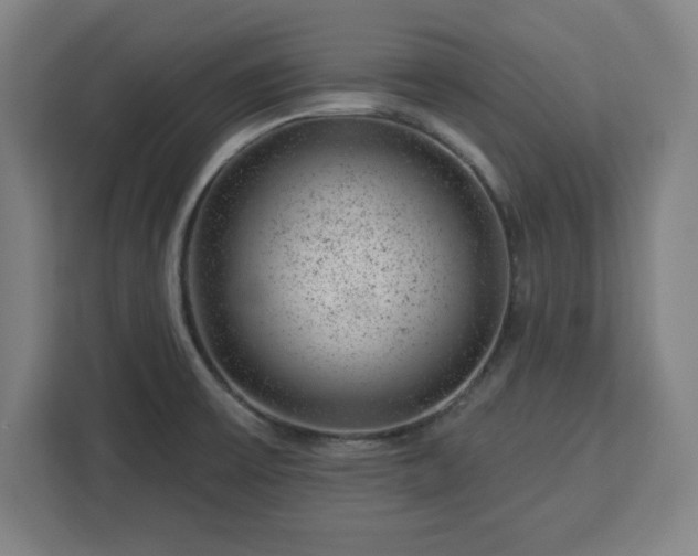 X0000112921475200908311247