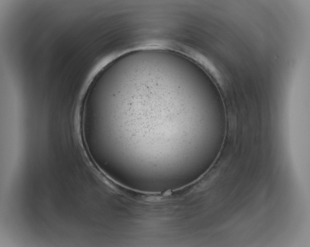 X0000112921480200908311247