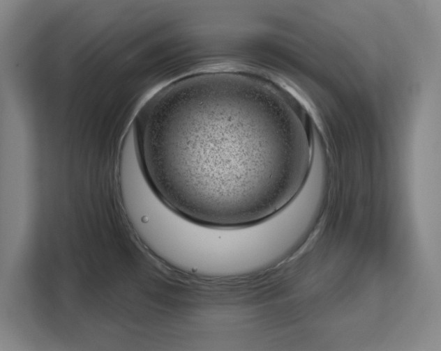 X0000112921481200908311247