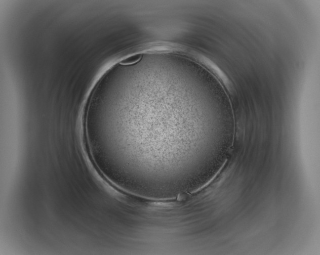 X0000112921483200908311247