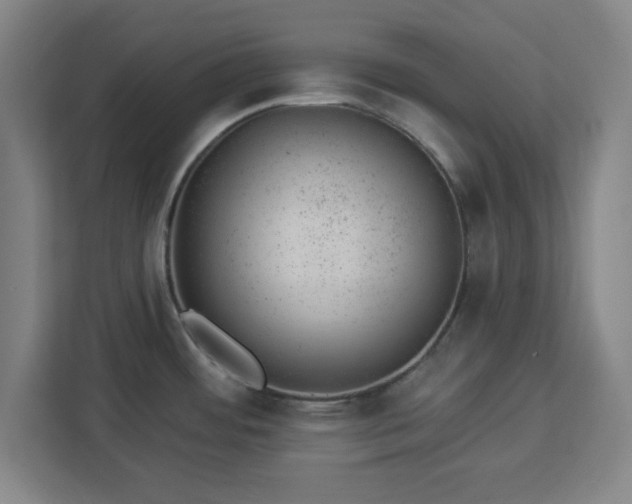 X0000112921484200908311247