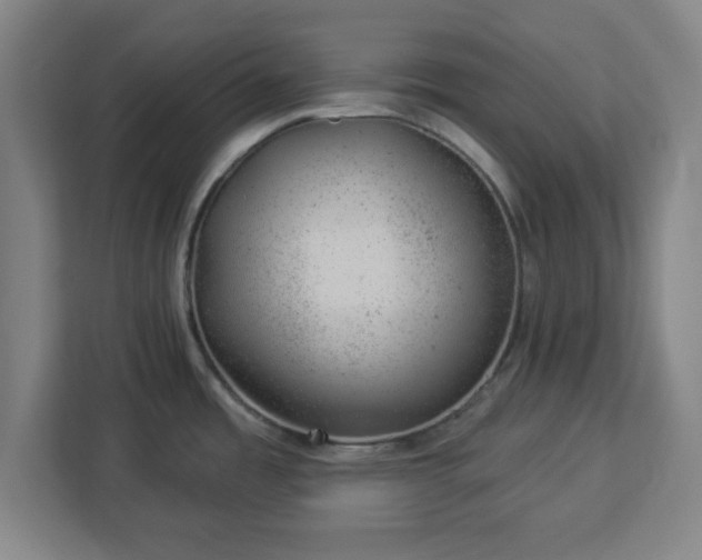 X0000112921485200908311247