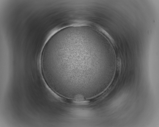 X0000112921487200908311247