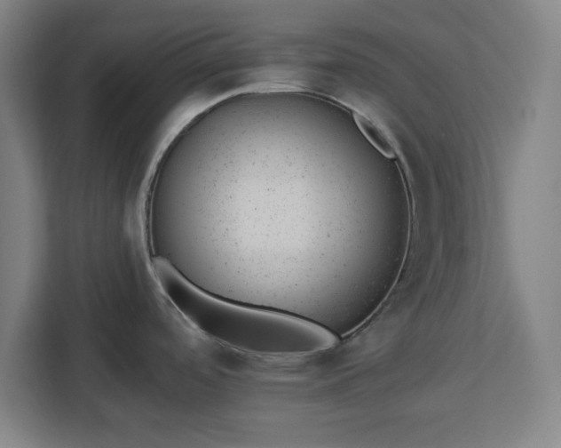 X0000112921488200908311247