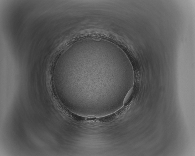 X0000112921489200908311246