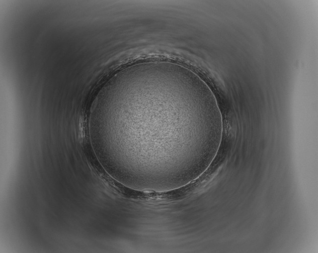 X0000112921490200908311246