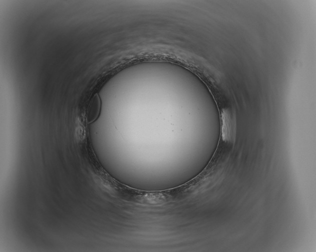 X0000112921491200908311246