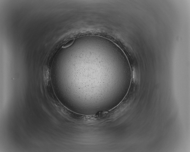 X0000112921492200908311246
