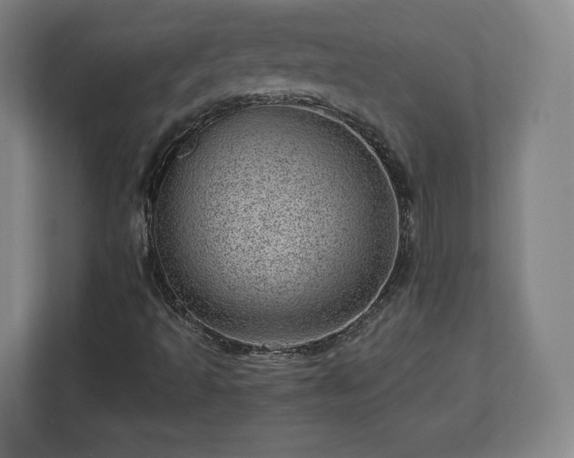 X0000112921493200908311246