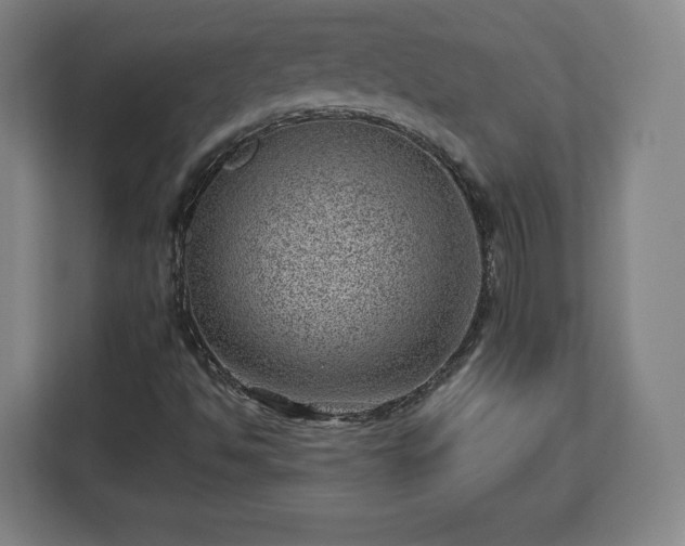 X0000112921494200908311246