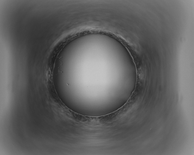 X0000112921495200908311246