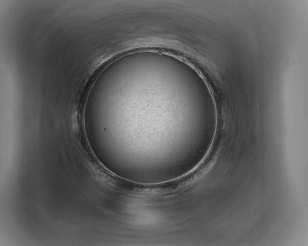 X0000112921497200908311246