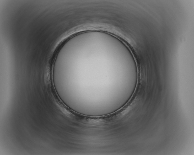 X0000112921498200908311246