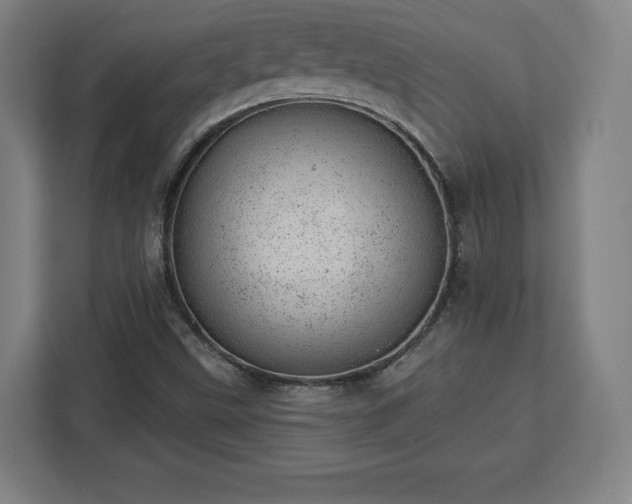 X0000112921499200908311246