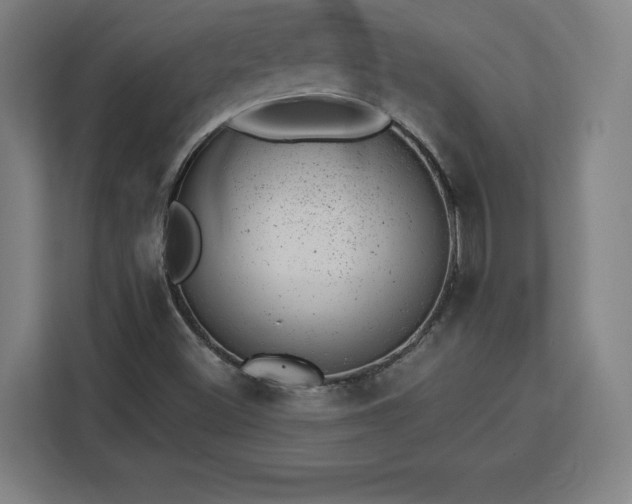 X0000112921500200908311247