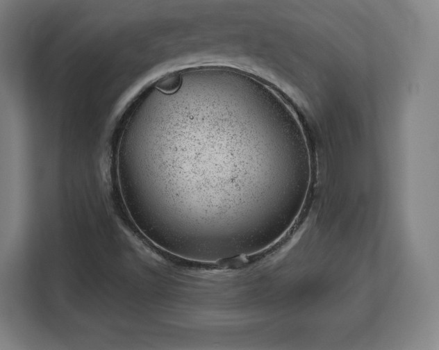 X0000112921502200908311247