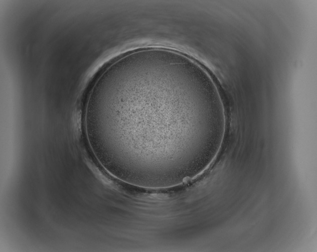 X0000112921503200908311247