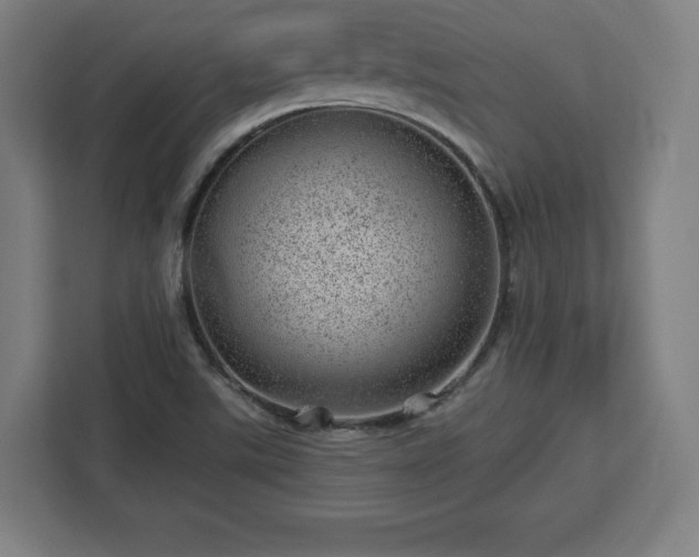 X0000112921507200908311247