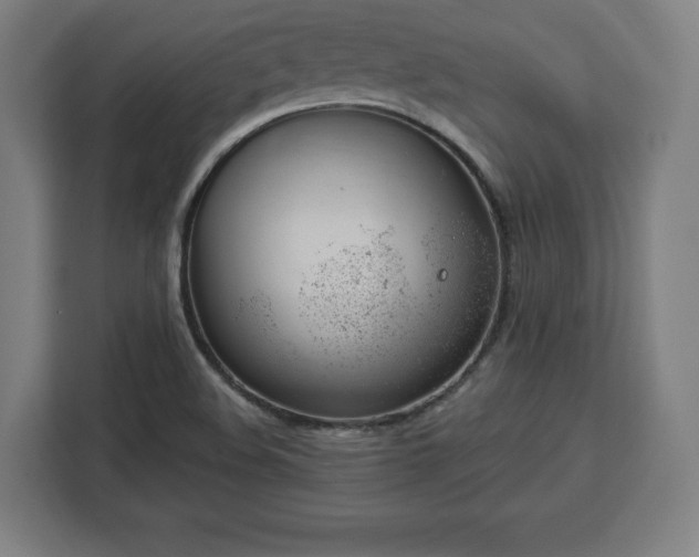 X0000112921508200908311247