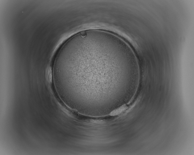X0000112921509200908311247