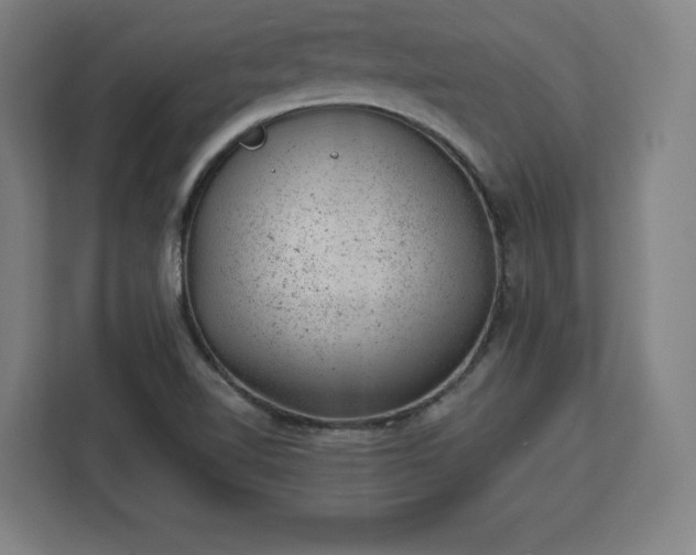 X0000112921510200908311247