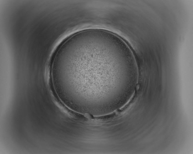 X0000112921511200908311247