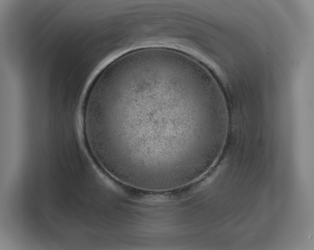 X0000112921517200908311247