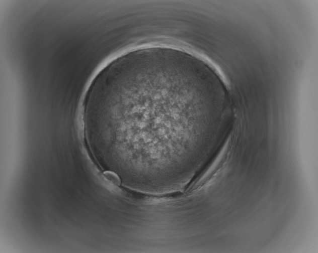 X0000112921522200908311247